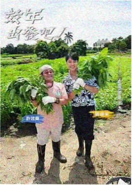高清综艺深夜厨房局